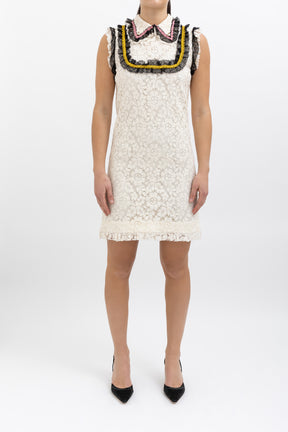 Ruffled Lace Mini Dress