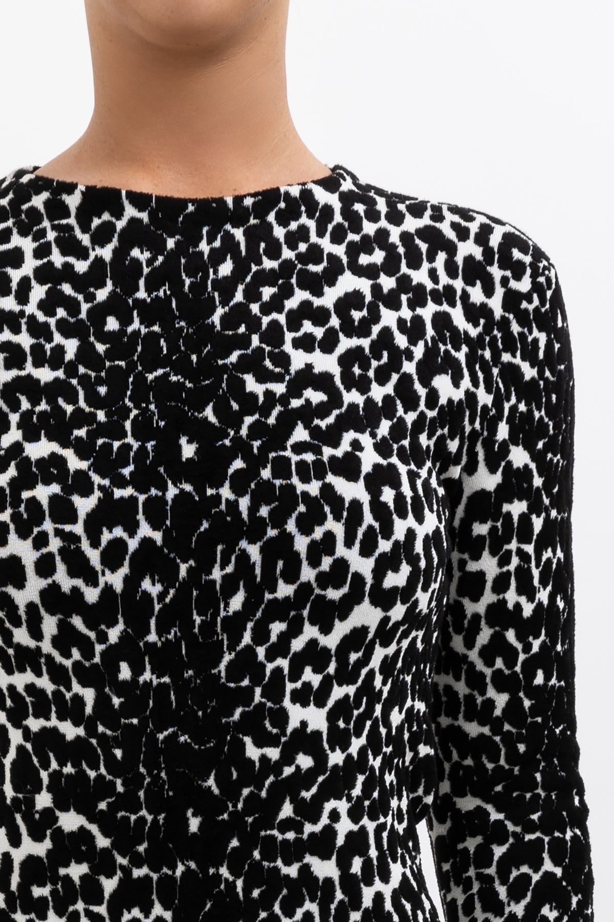 Leopard Print Long Sleeve Mini Dress