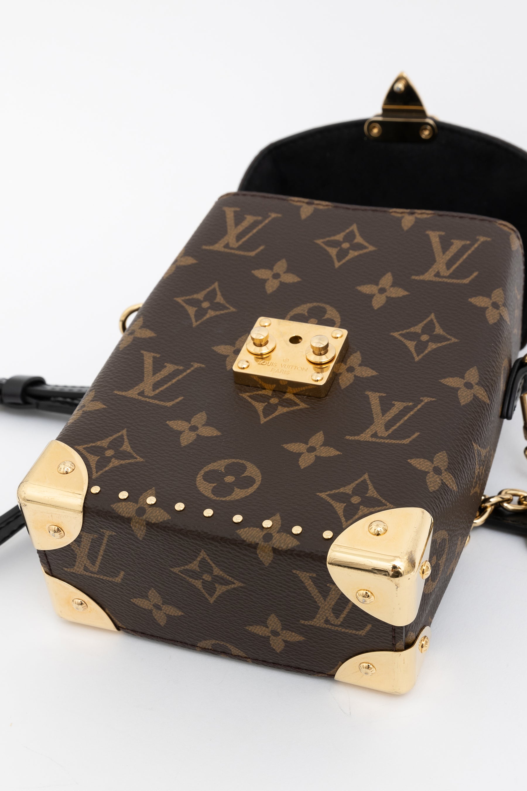 Monogram 'Camera Box' Bag