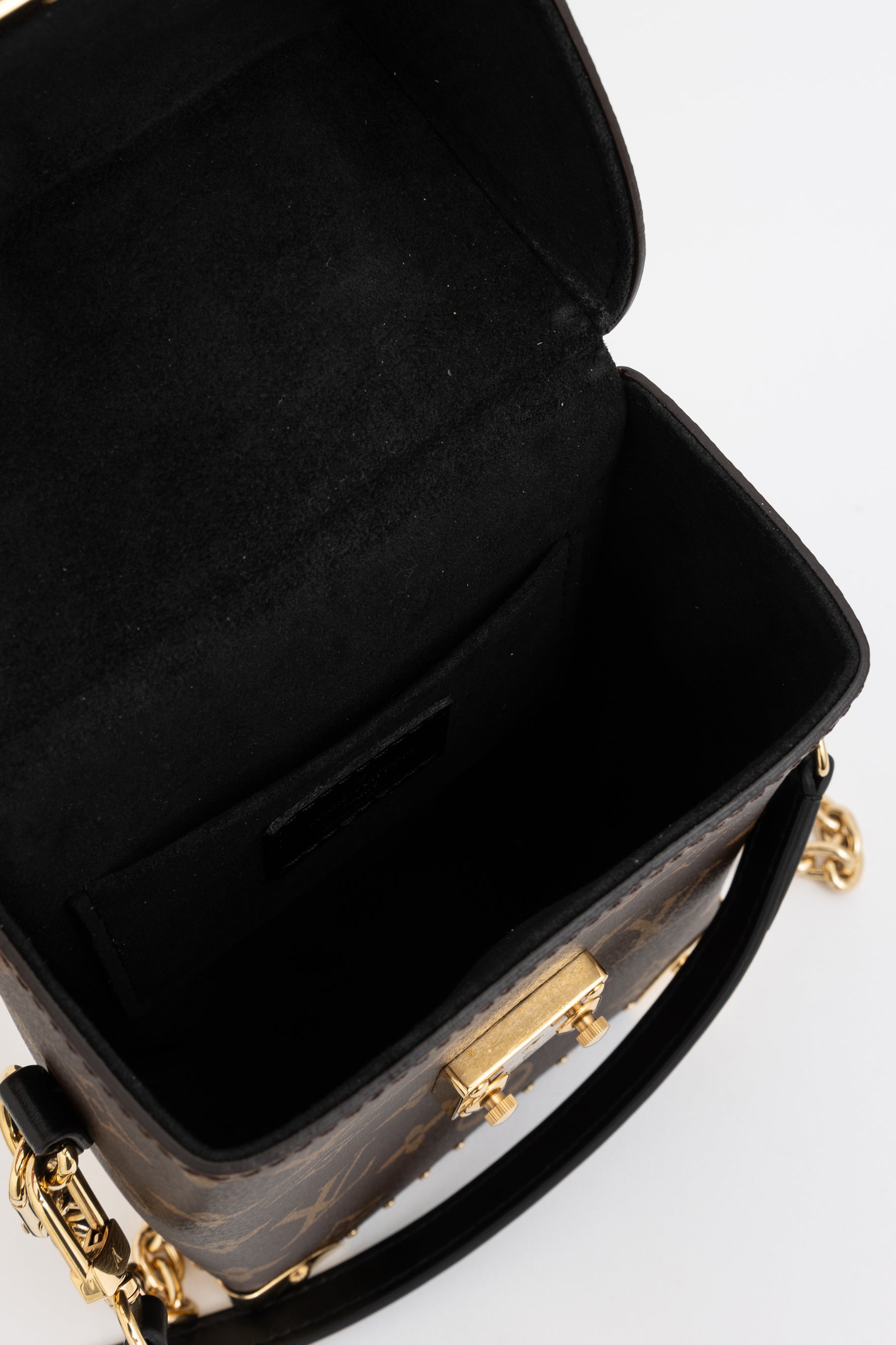 Monogram 'Camera Box' Bag