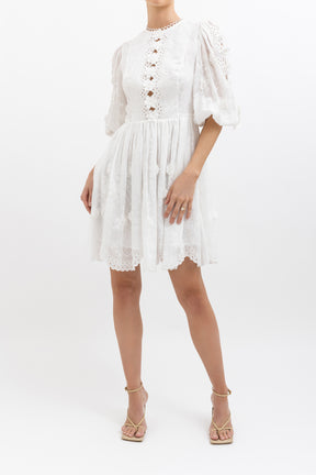 Rosa Embroidered Lace Mini Dress