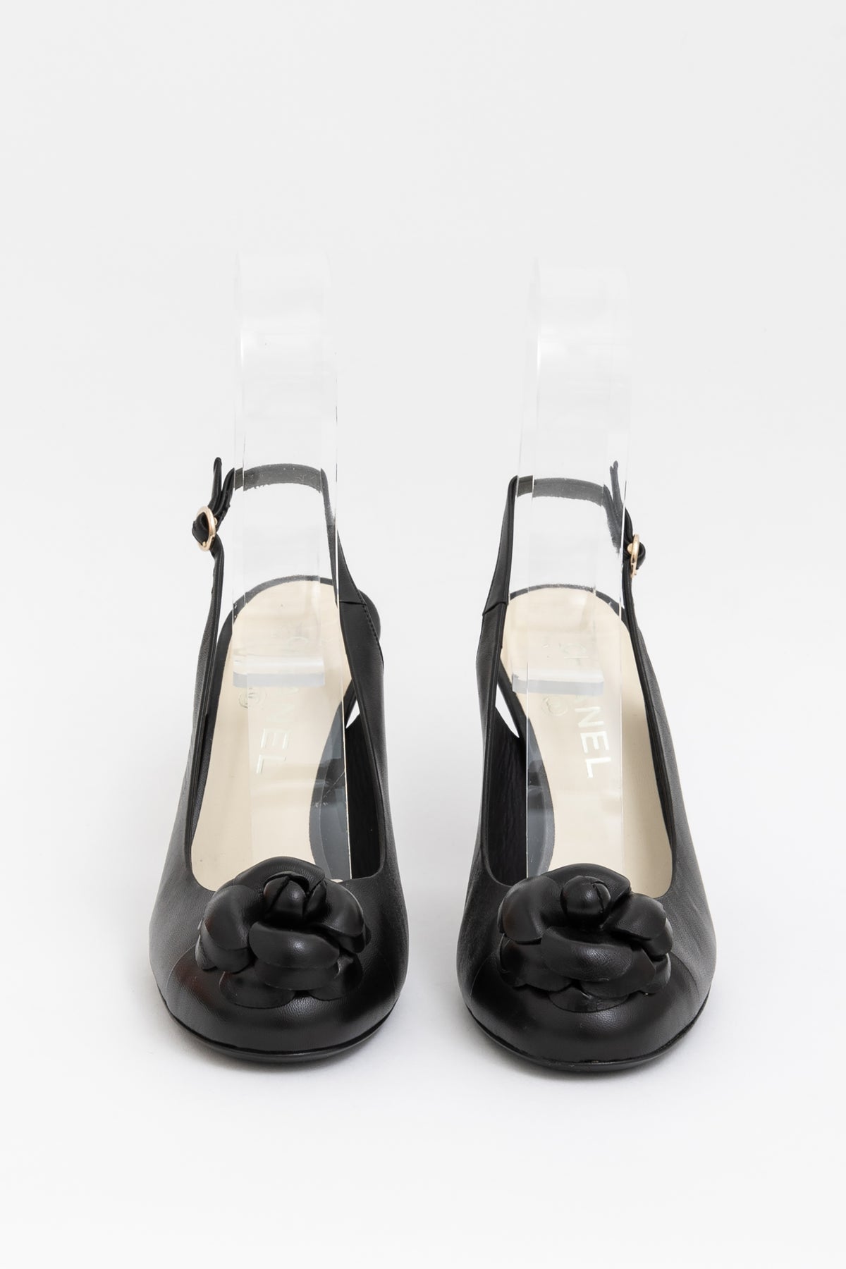 Camelia Slingbacks