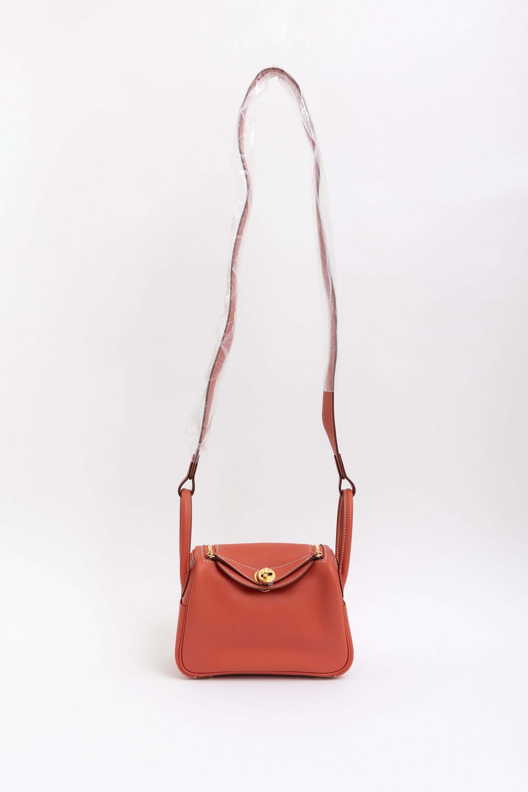 Sanguine Swift Leather Mini Lindy Bag