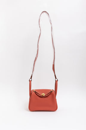 Sanguine Swift Leather Mini Lindy Bag