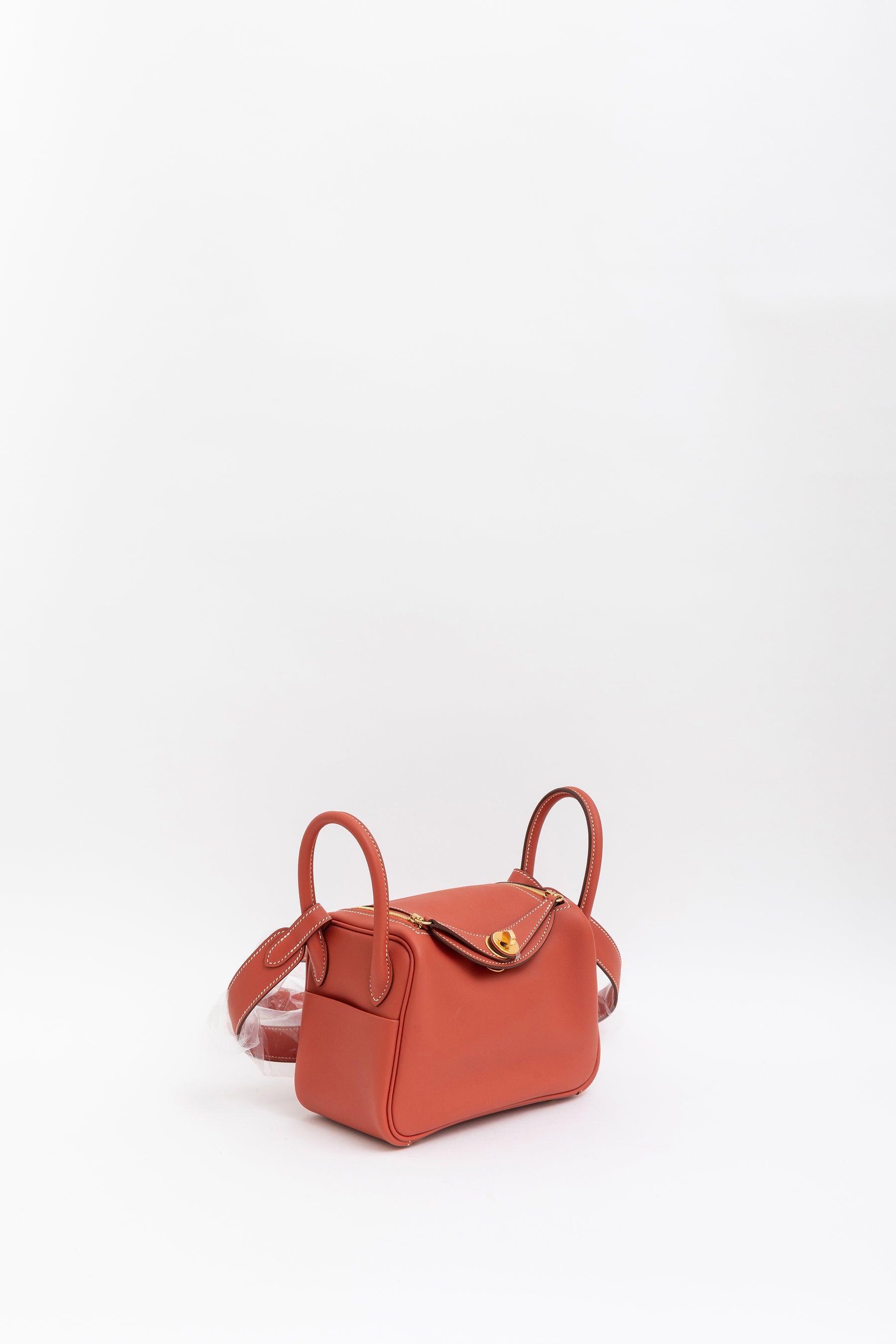 Sanguine Swift Leather Mini Lindy Bag