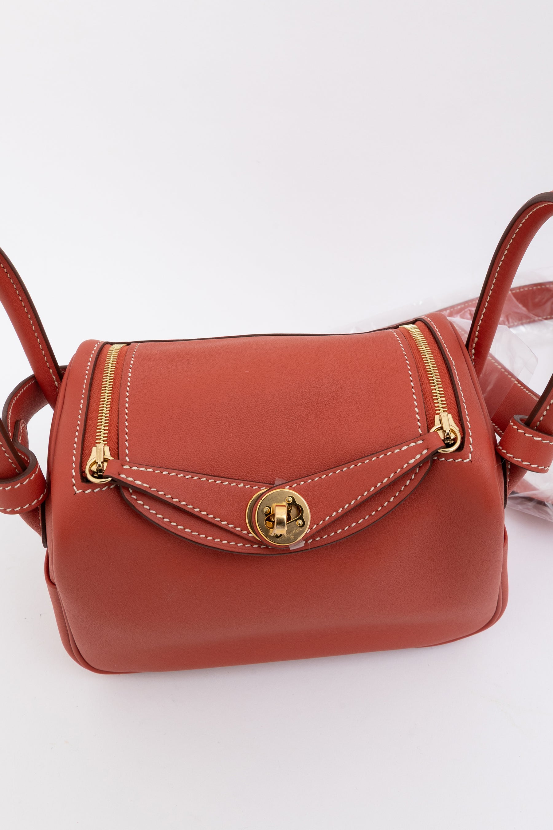 Sanguine Swift Leather Mini Lindy Bag