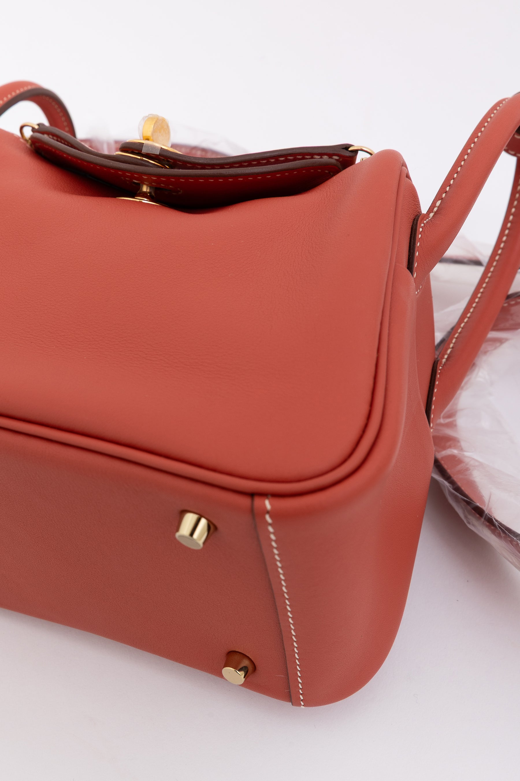 Sanguine Swift Leather Mini Lindy Bag