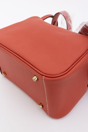 Sanguine Swift Leather Mini Lindy Bag