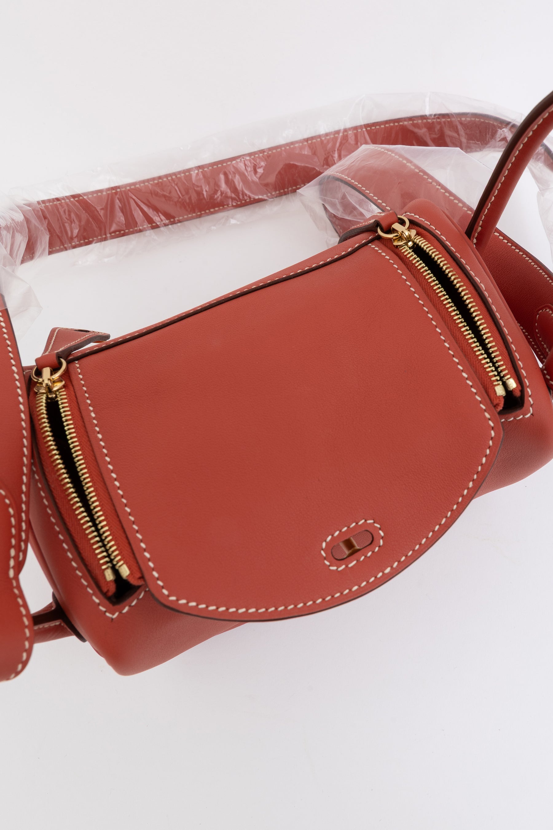 Sanguine Swift Leather Mini Lindy Bag