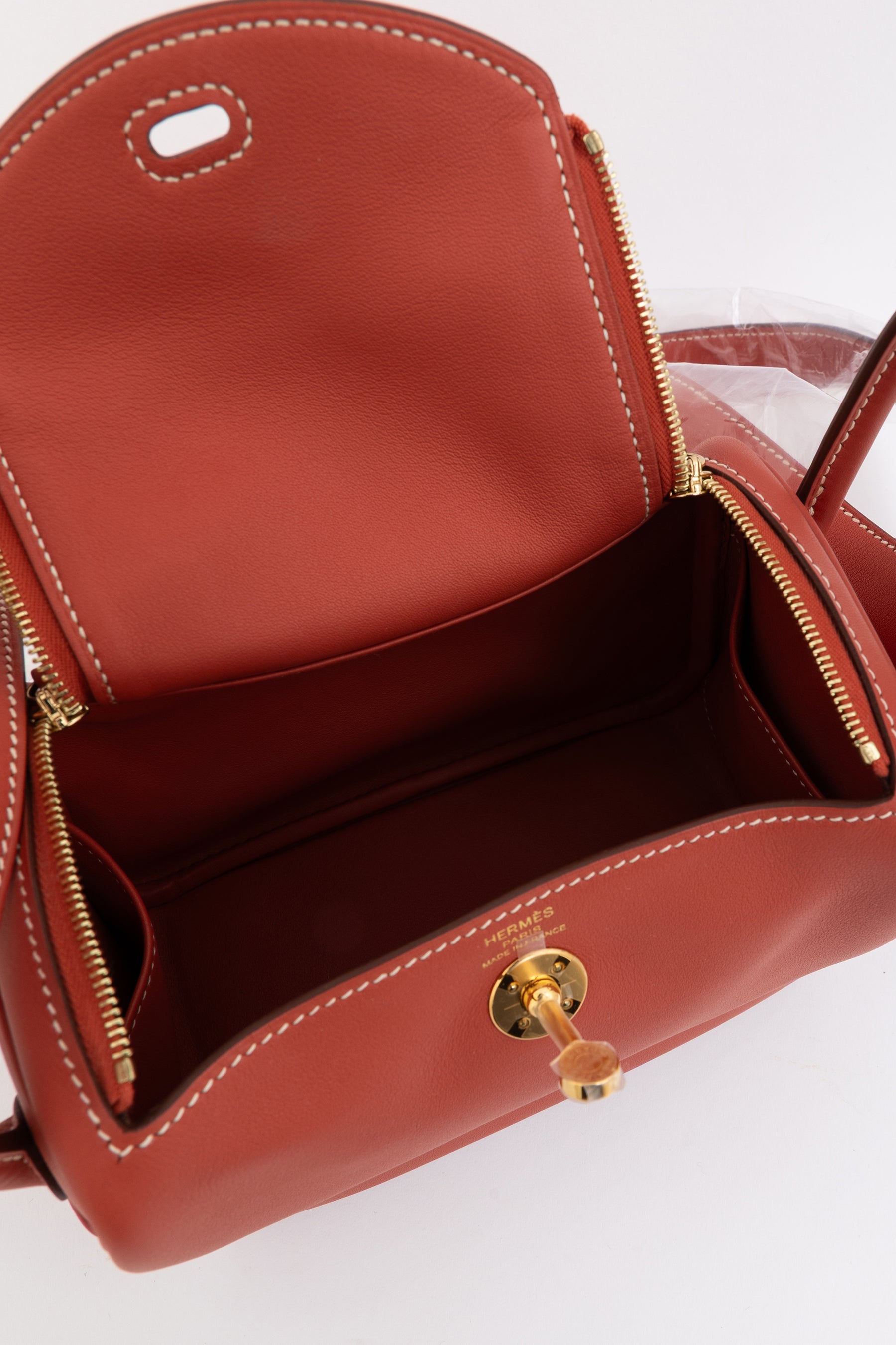 Sanguine Swift Leather Mini Lindy Bag